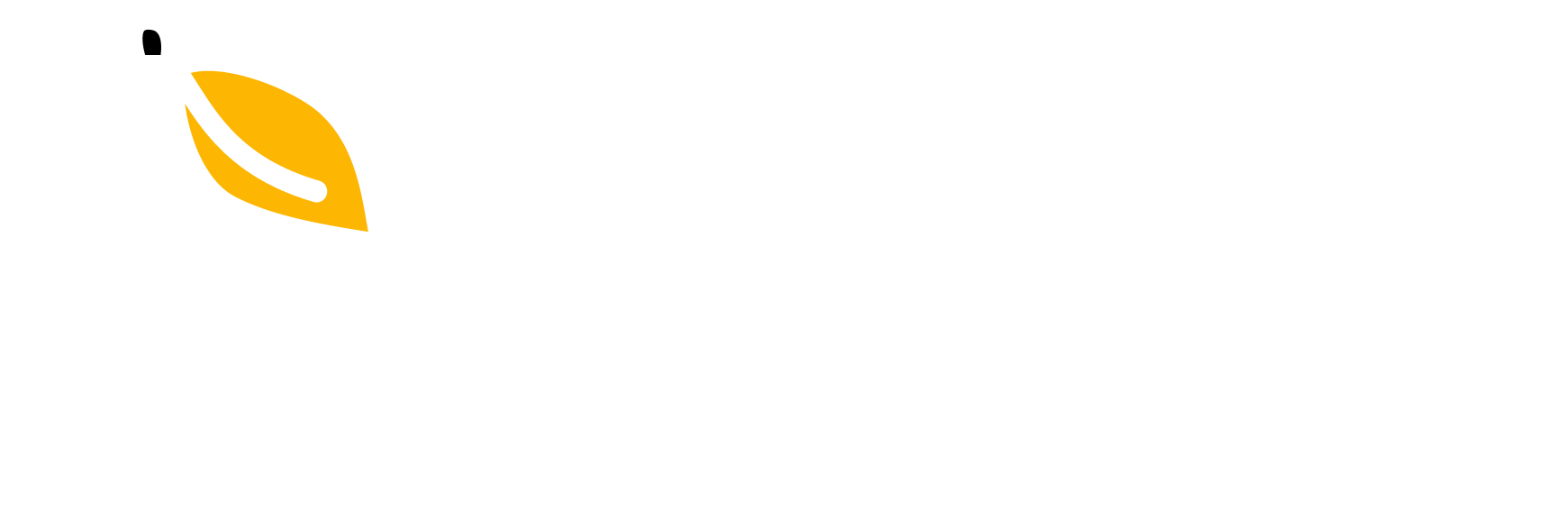 Mango Proxy Logo